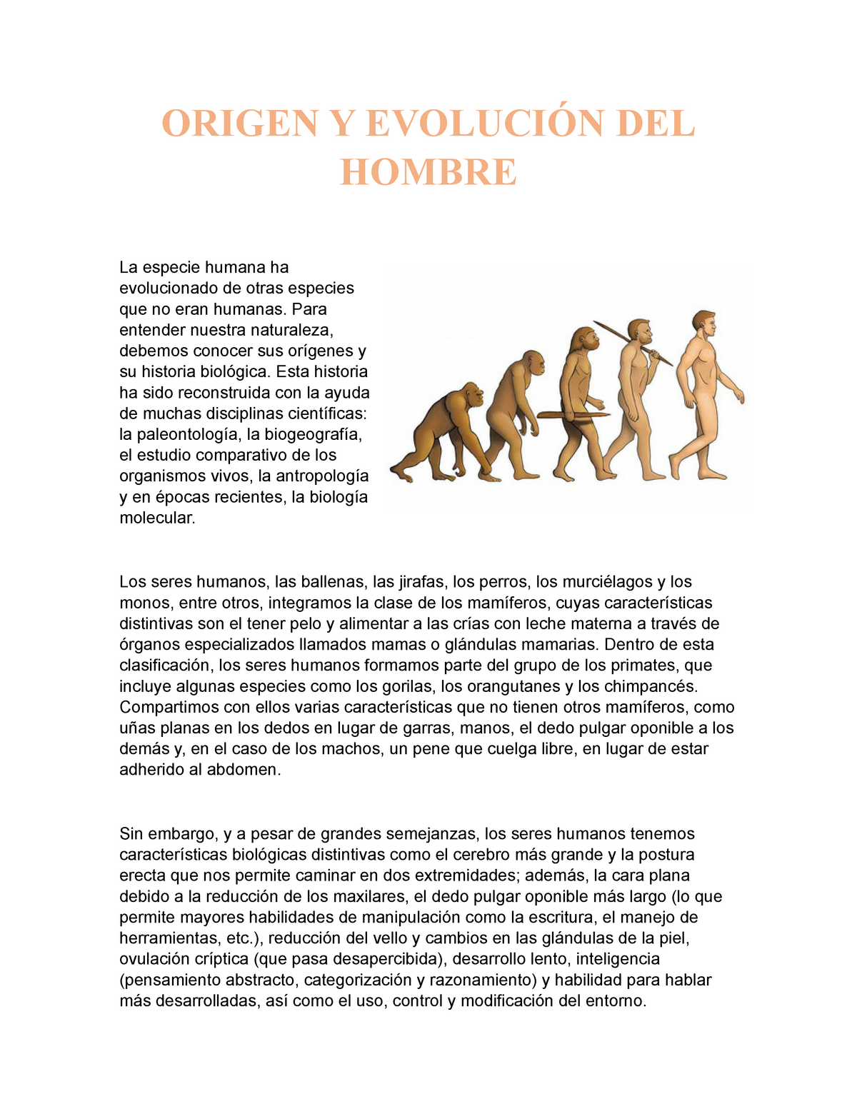 Origen Y Evolución Del Hombre Origen Y EvoluciÓn Del Hombre La