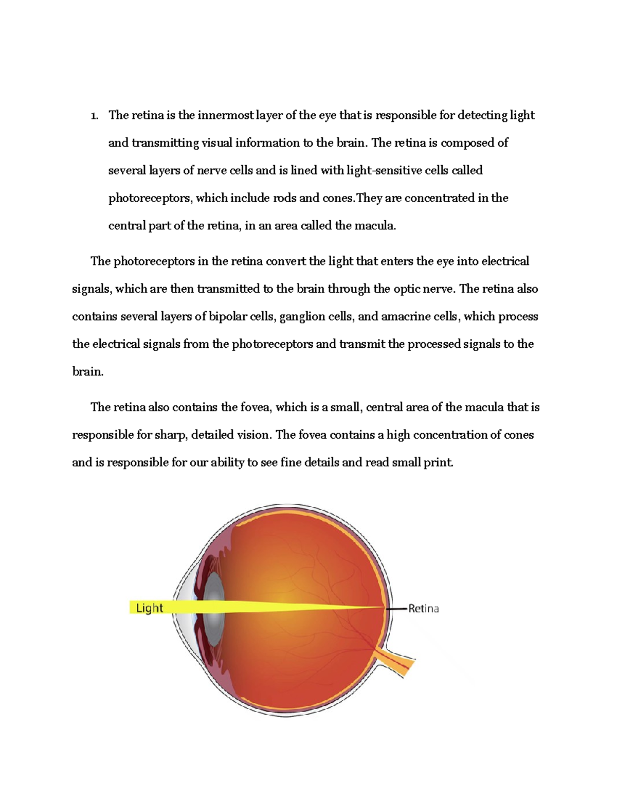 parts-of-the-eye-the-retina-is-the-innermost-layer-of-the-eye-that-is