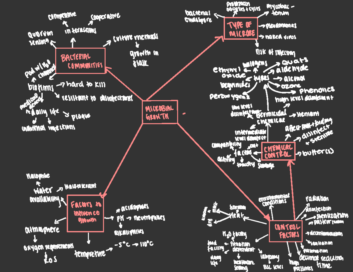 Unit 5 Concept Map - Unit 5 summary needed to submit every week ...