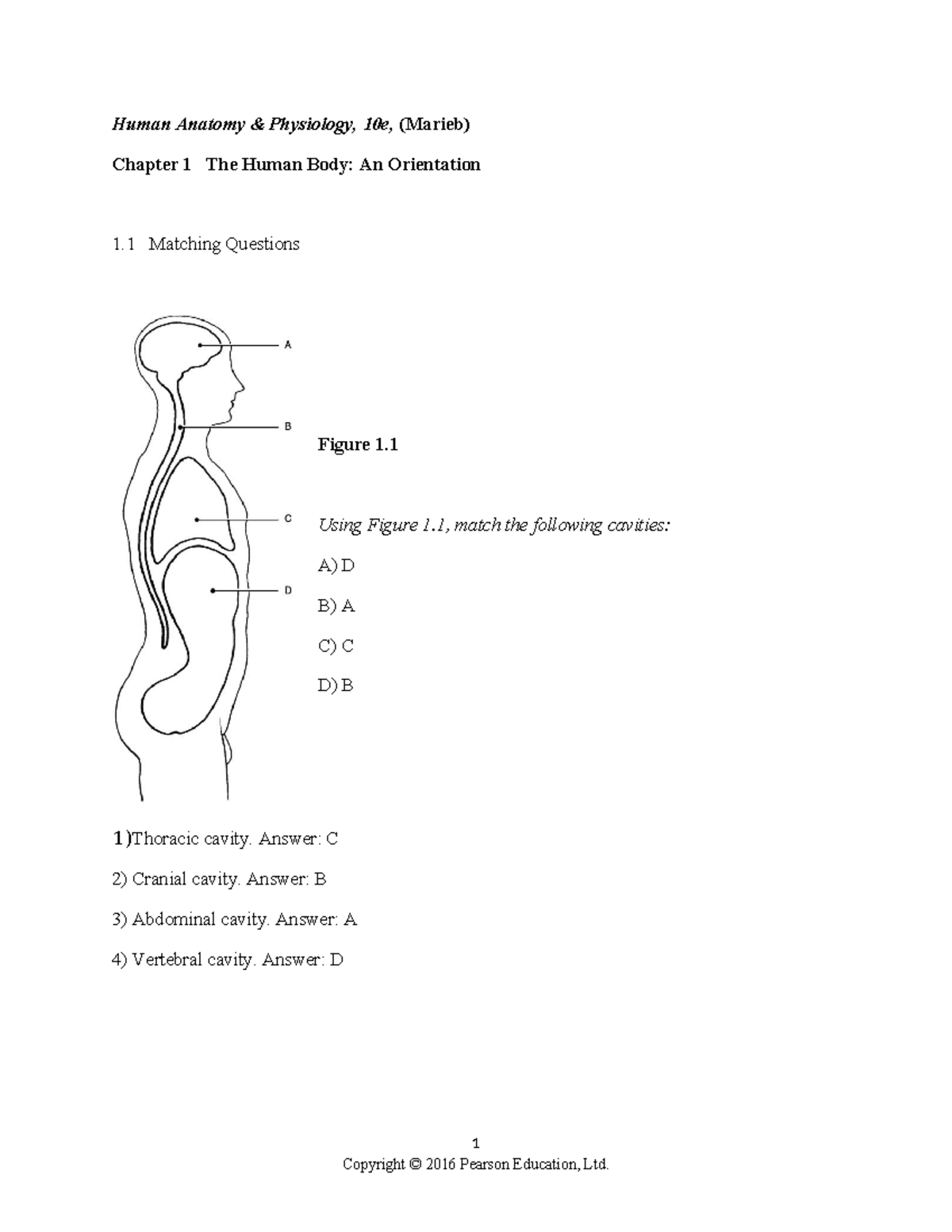 Ch 01 Test Bank - N/A - Human Anatomy & Physiology, 10e, (Marieb ...