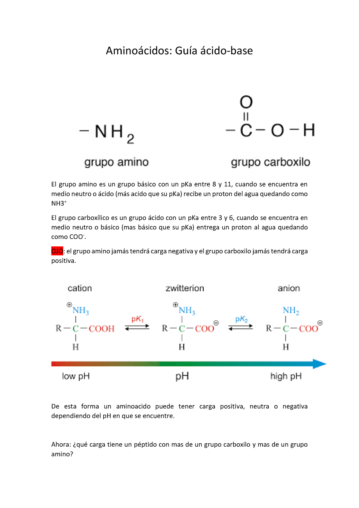 Guia Clase 1 - Amino·cidos: GuÌa ·cido-base El Grupo Amino Es Un Grupo ...