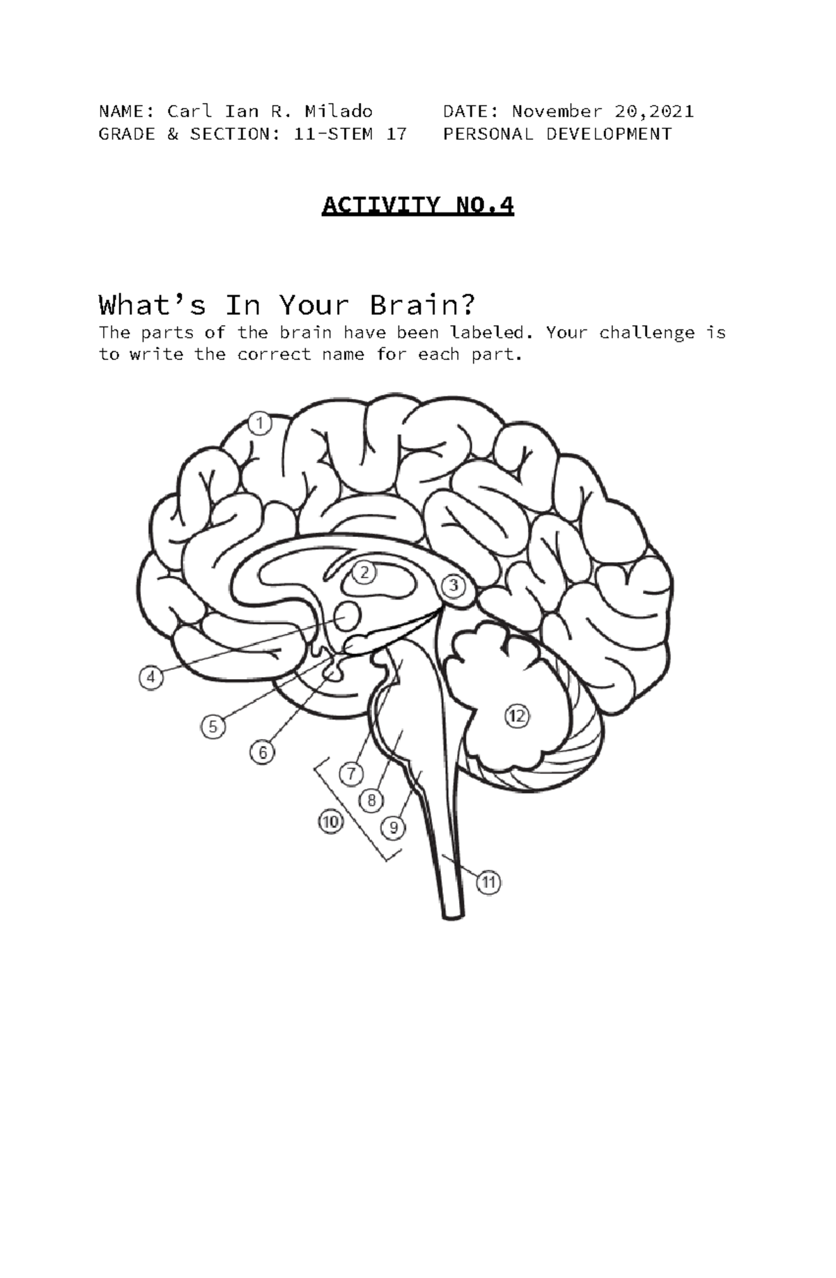 Perdev Activity 4 Brain Sheet - NAME: Carl Ian R. Milado DATE: November ...