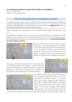 Neuroeducacion Asdaa Neuroeducaci N Uniendo Las Neurociencias Y La