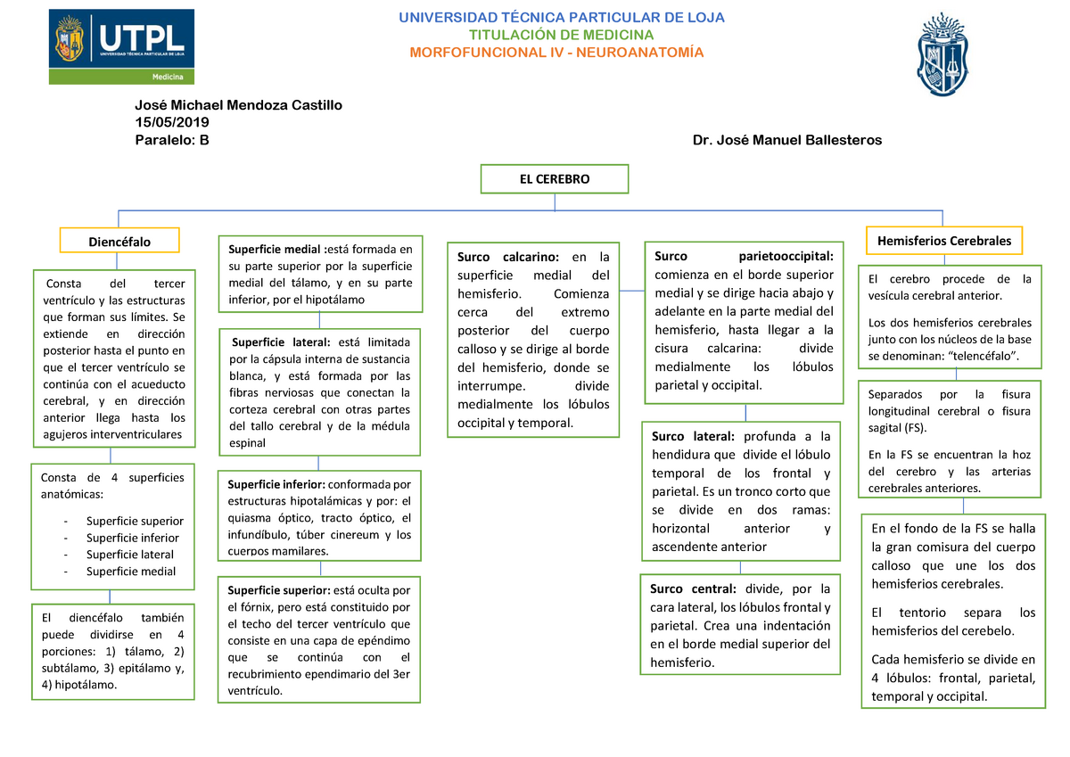 Mapas Conceptuales Hemisferios Cerebrales y Diencéfalo - UNIVERSIDAD  PARTICULAR DE LOJA DE MEDICINA - Studocu