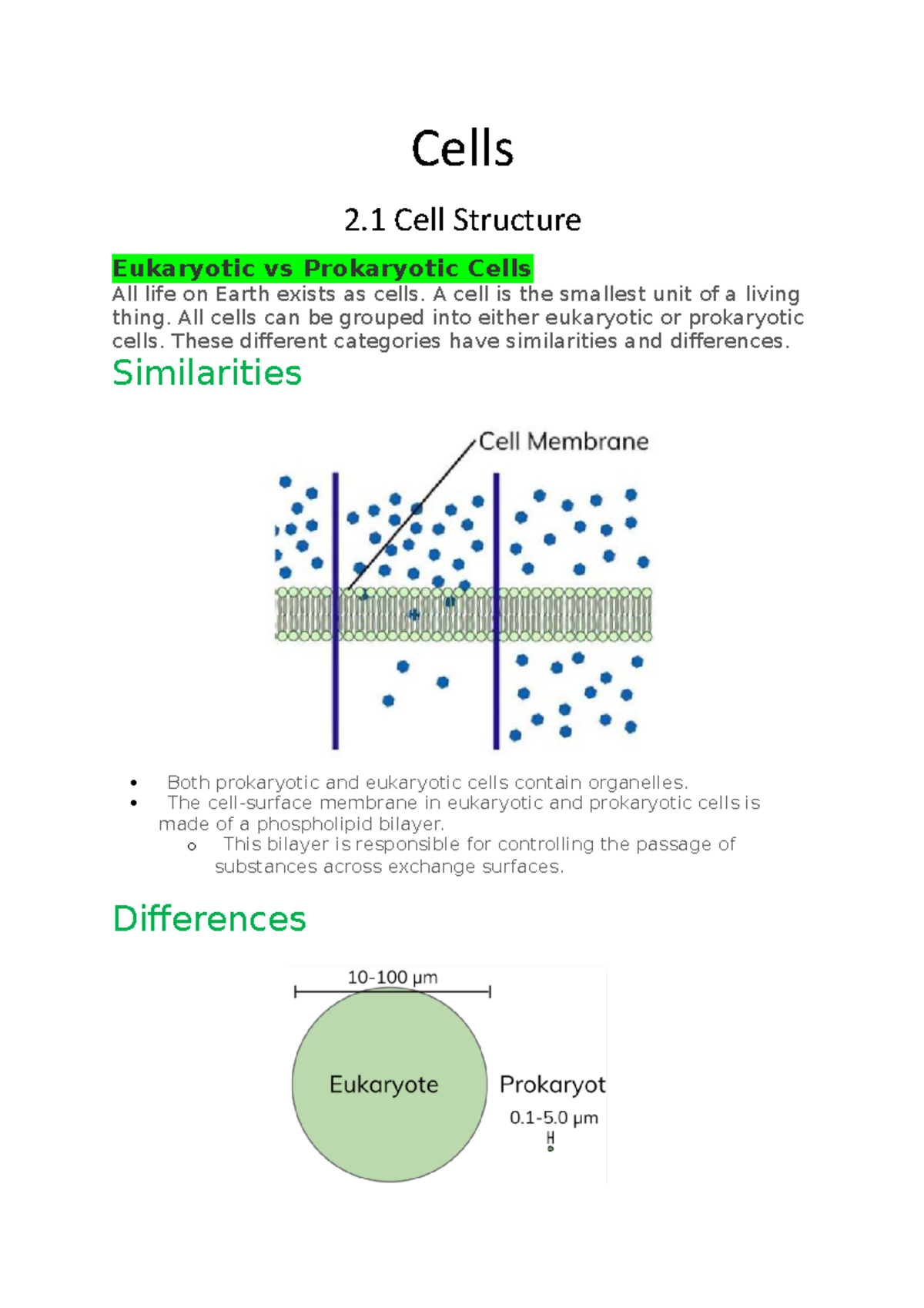 Cells Cells 2 Cell Structure Eukaryotic vs Prokaryotic Cells All life