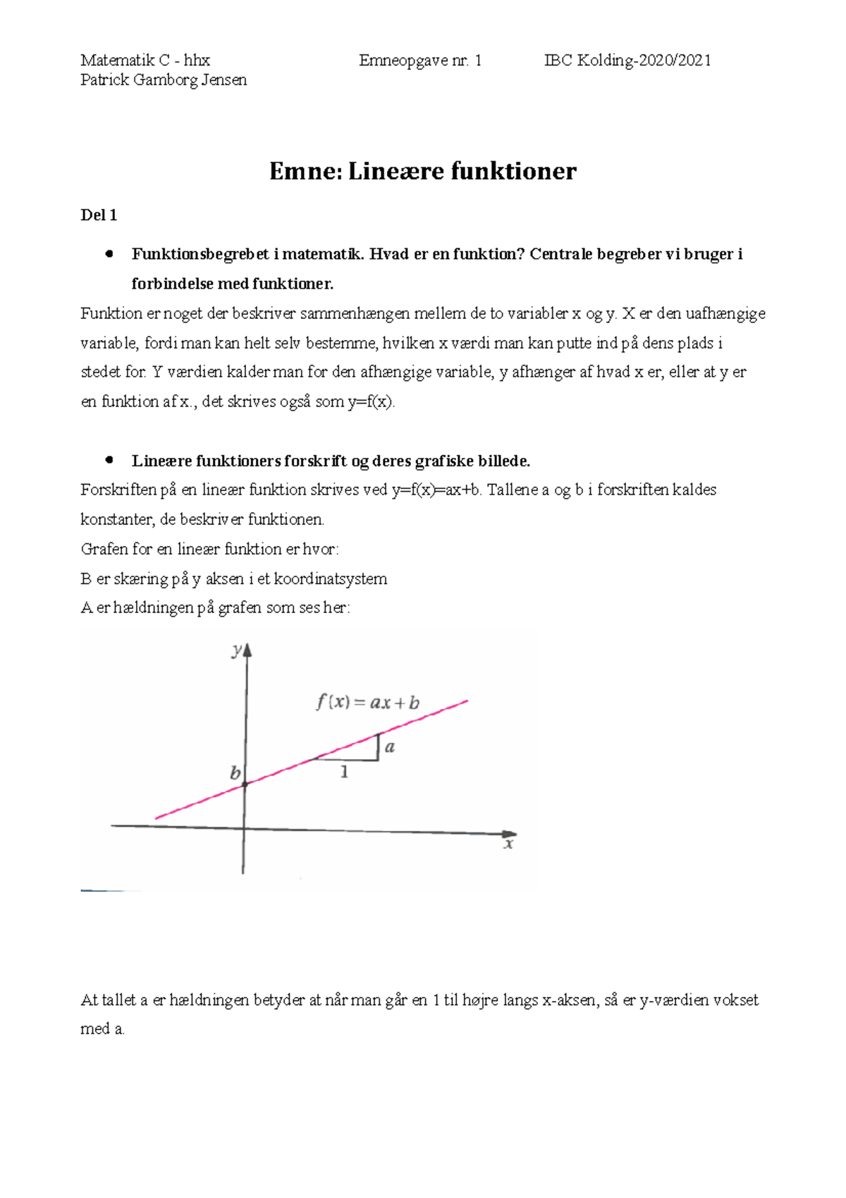 Emneopgave 1-Lineære Funktioner 2021 Del 1,2 Og 3. - Patrick Gamborg ...