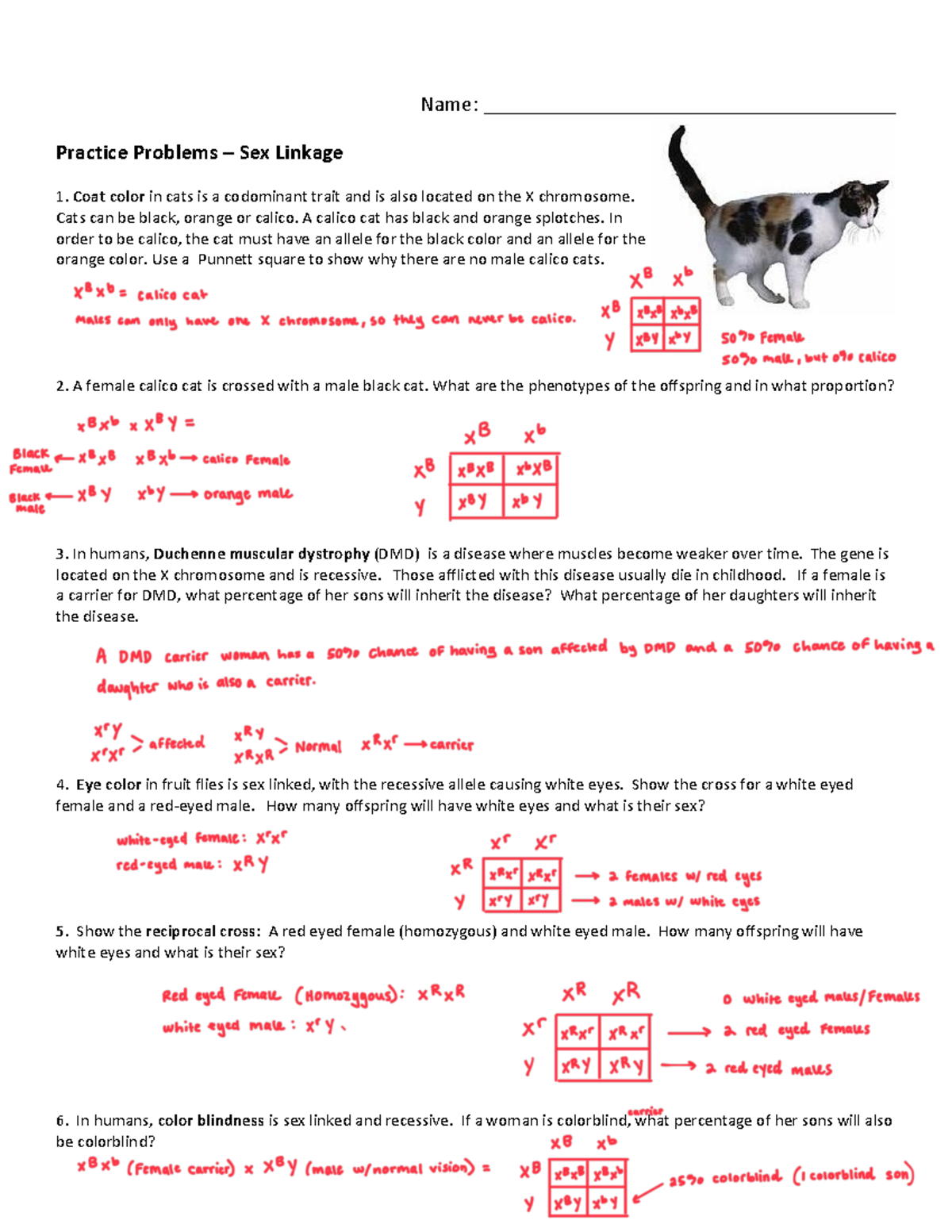 Sex Linked Problems Name Practice Problems Sex