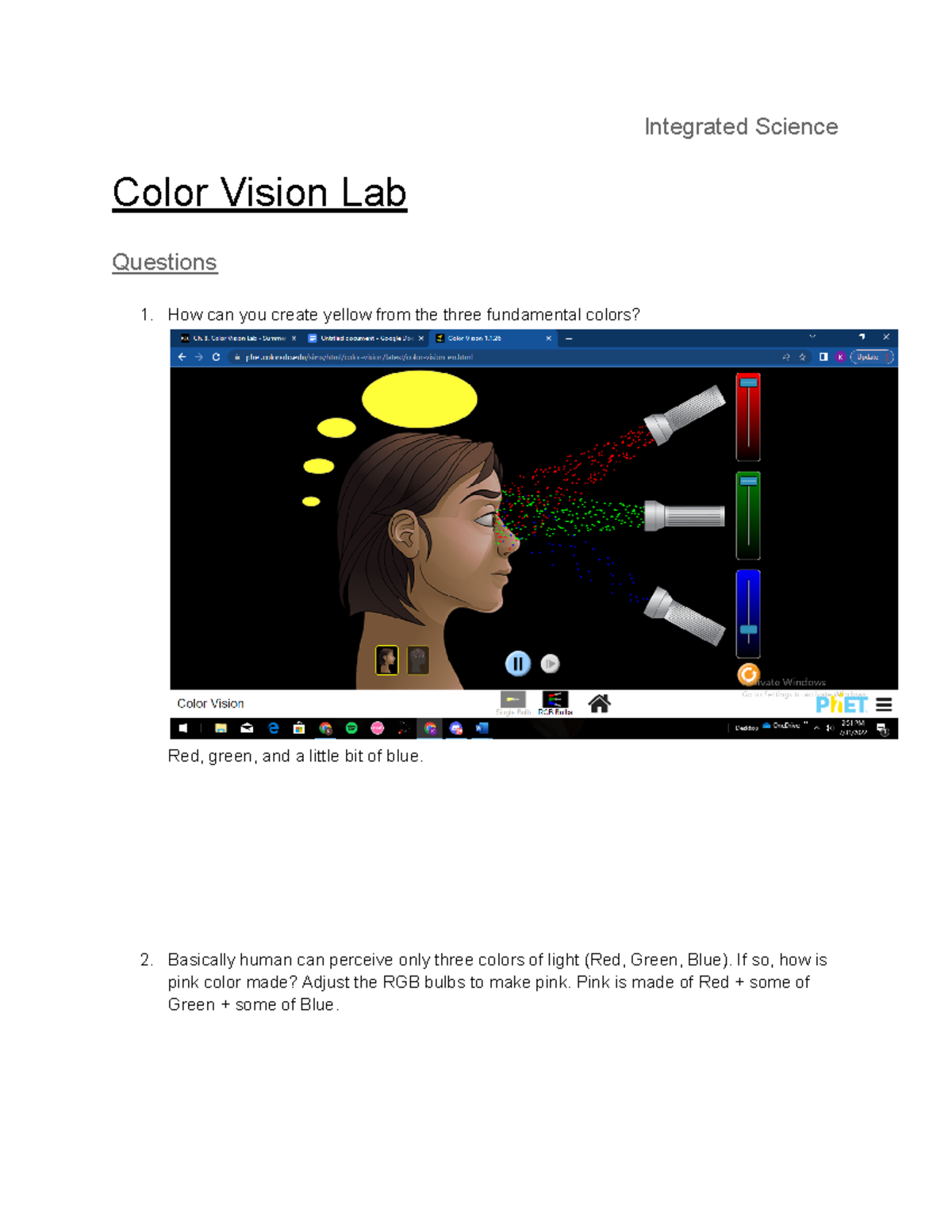 Color Vision Lab Coursework Integrated Science Color Vision Lab