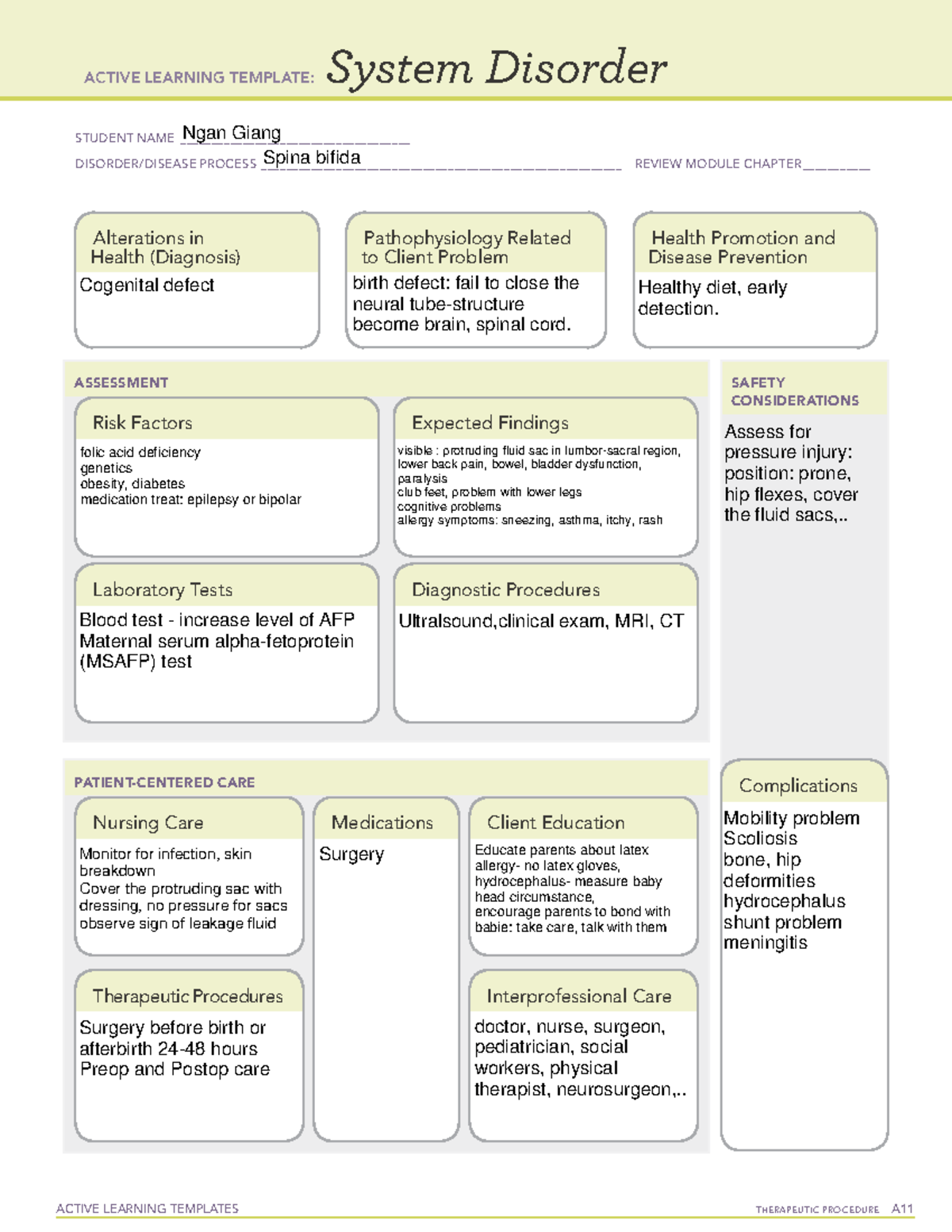 Spina bifida - assignment - ACTIVE LEARNING TEMPLATES THERAPEUTIC ...