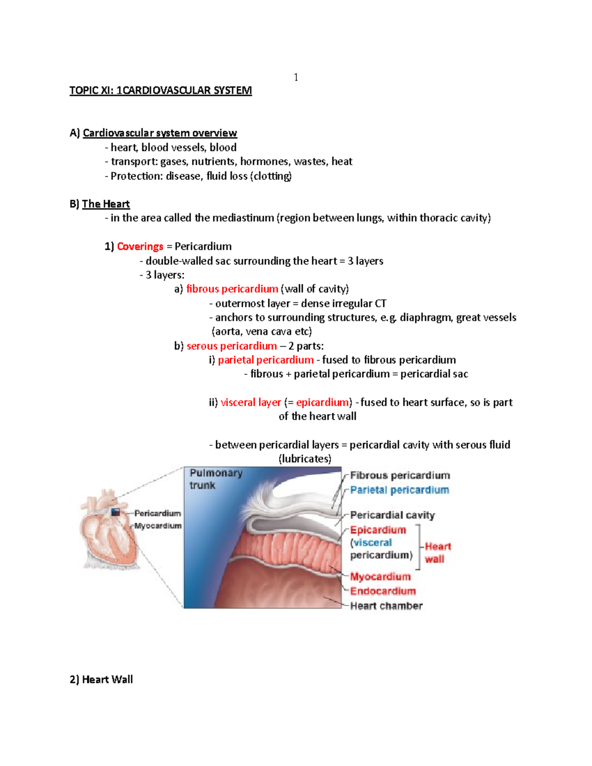 Topic XII Cardiovascular System - TOPIC XI: 1 CARDIOVASCULAR SYSTEM A ...