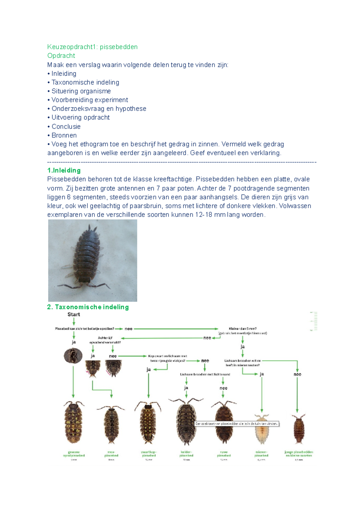 Pissebedden Samenvatting Biologie - Keuzeopdracht1: Pissebedden ...