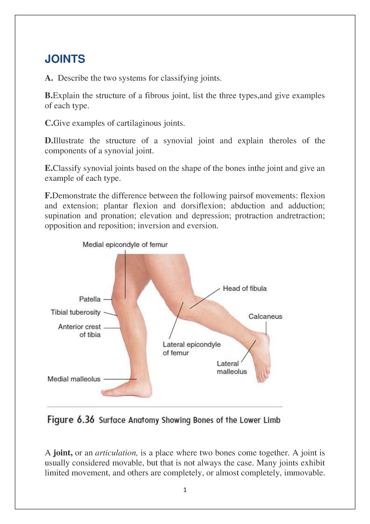 Joints - JOINTS A. Describe The Two Systems For Classifying Joints. B ...