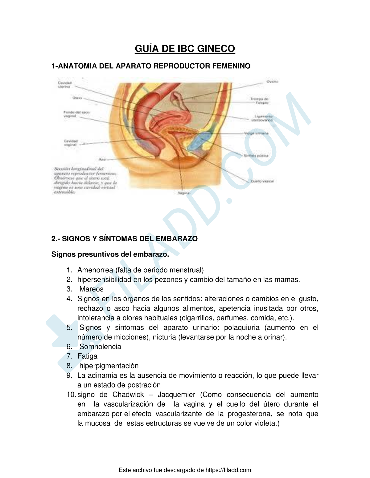 ligamento de cobre de la mama