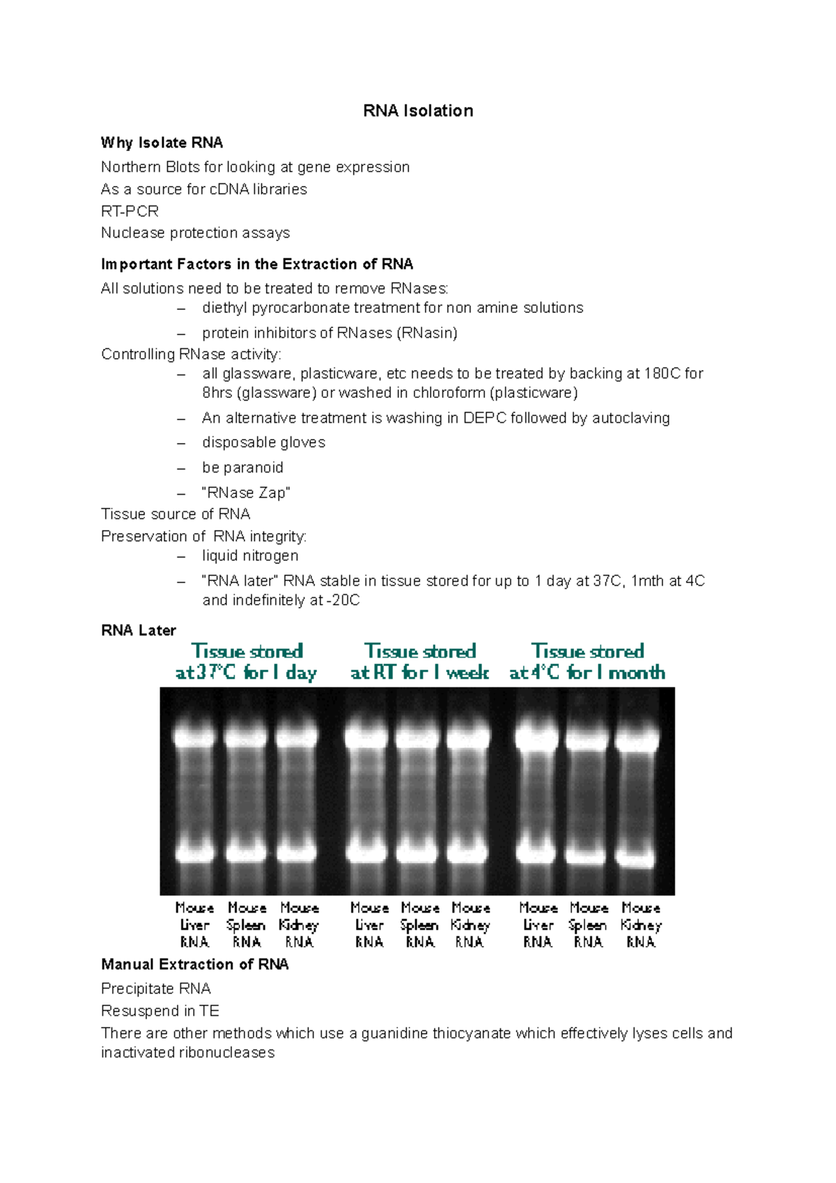 RNA Isolation Lecture notes 12 RNA Isolation Why Isolate RNA