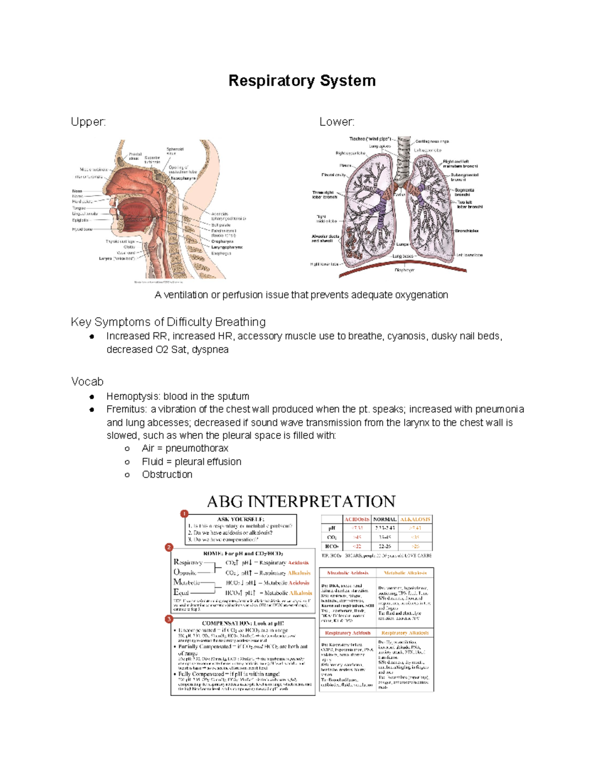 NUR 265 Exam 2 Review - N/A - Respiratory System Upper: Lower: A ...