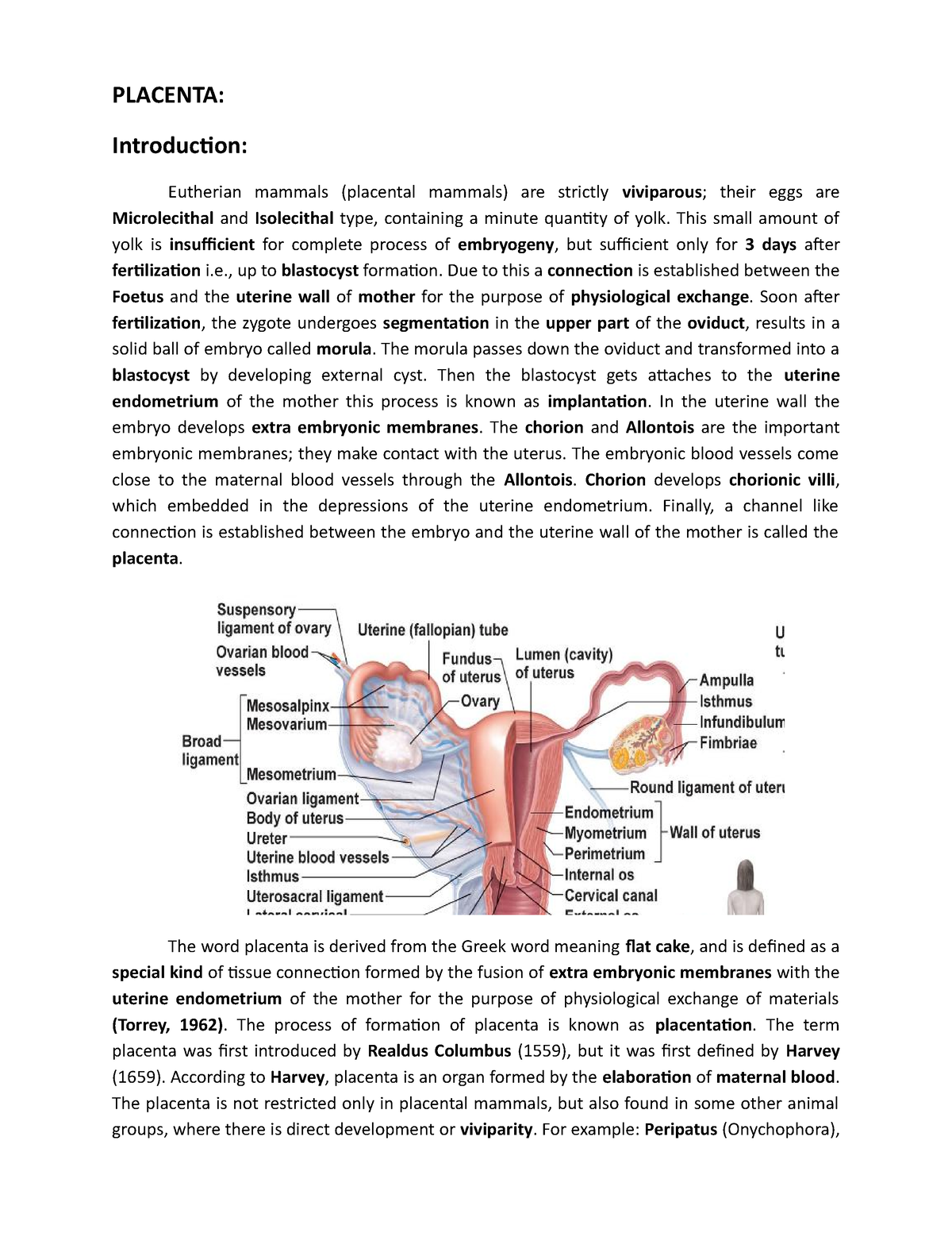 Placenta Notes. - PLACENTA: Introduction: Eutherian mammals (placental ...