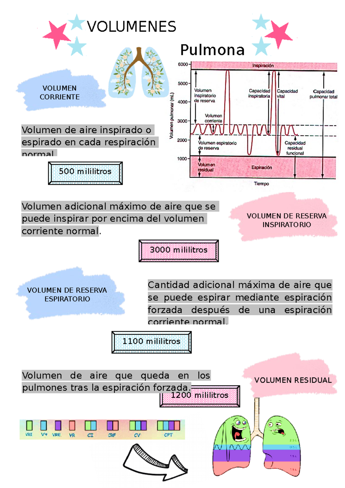 Volumenes Y Capacidades Pulmonares Nursing School Survival – NBKomputer