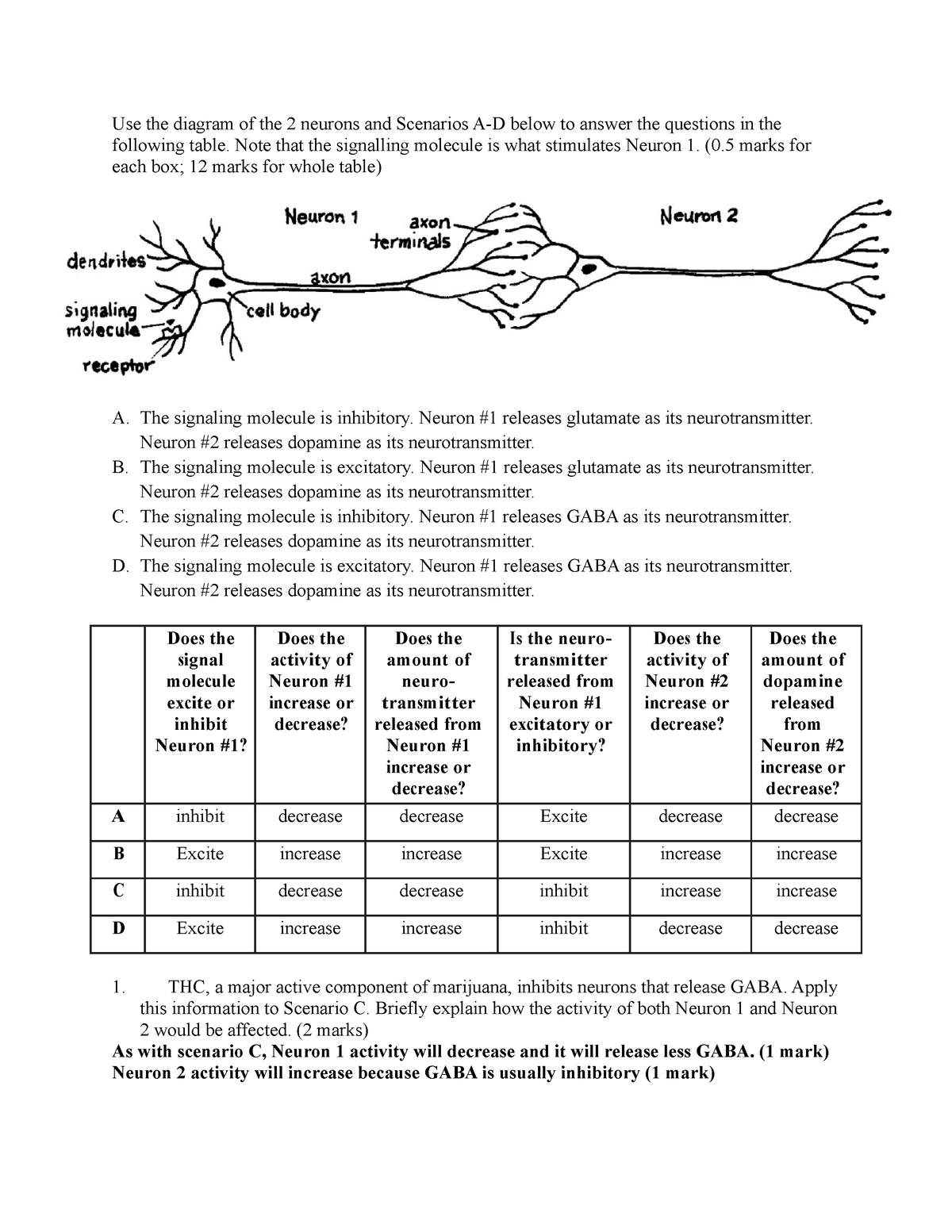 case study neurons and cell communication answer key