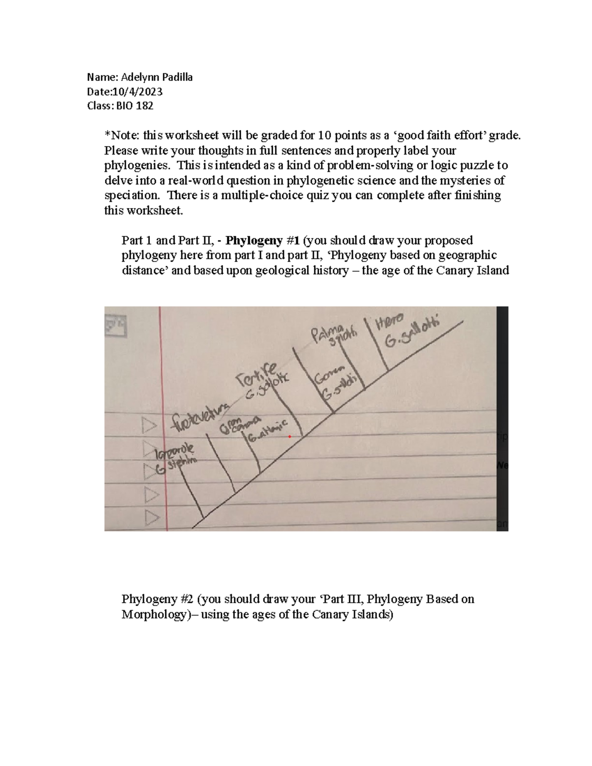 Island Biogeography worksheet1 Name Adelynn Padilla Date10/4