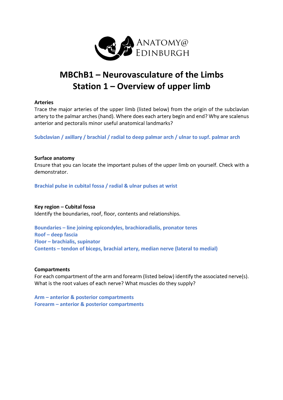 MBCh B 1 Neurovasculature Of The Limbs Complete (RAJ) - Station 1 ...