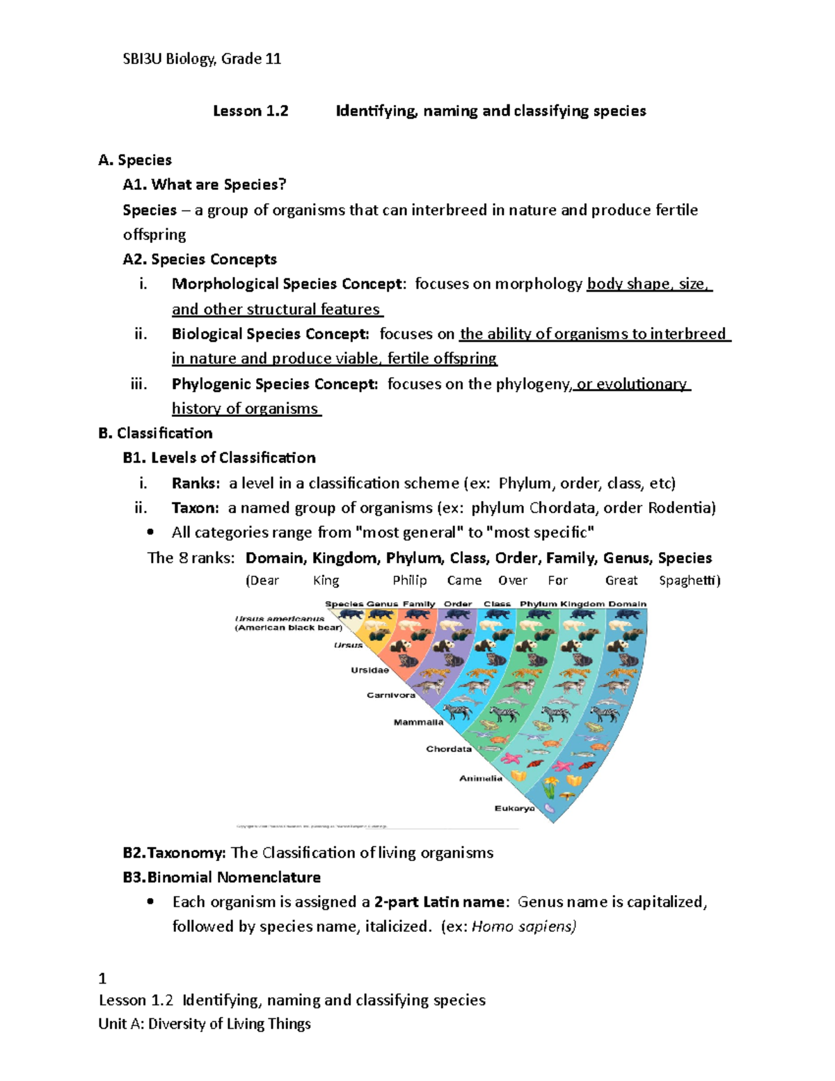 Bio 1.2 Identifying Naming And Classifying Species - SBI3U Biology ...