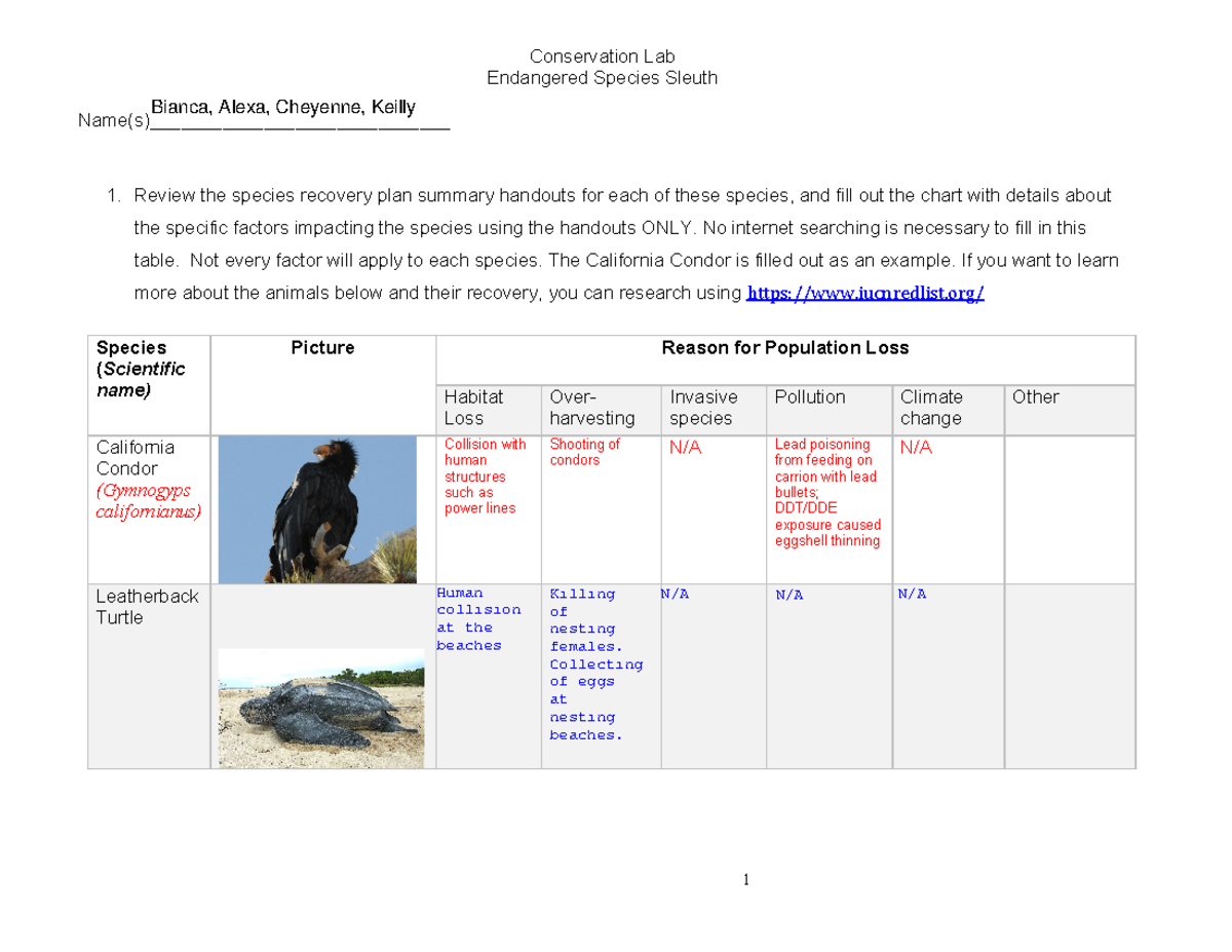 Endangered Species Sleuth Activity A Online - Endangered Species Sleuth ...
