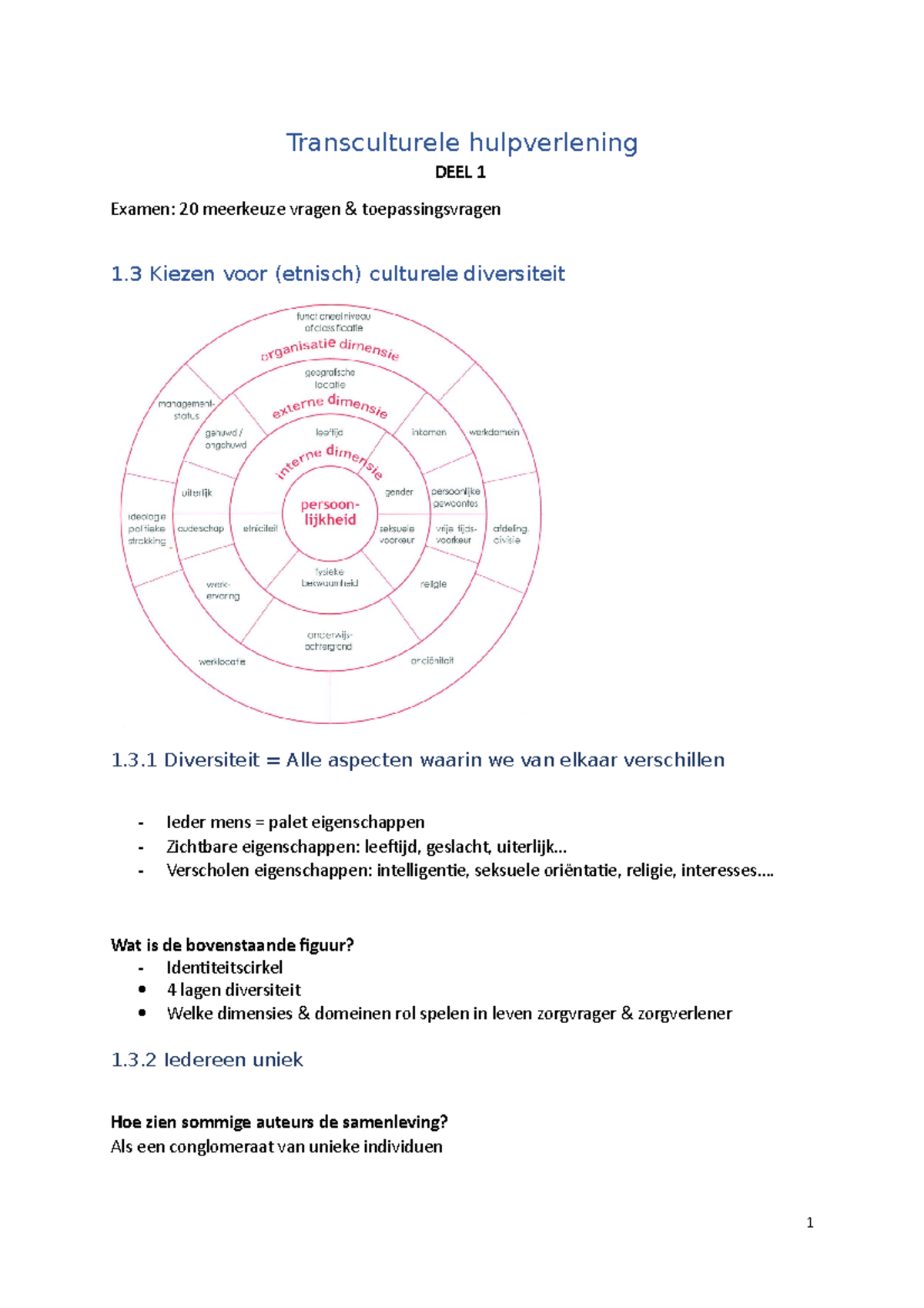 Transculturele Hulpverlening Samenvatting - Transculturele ...