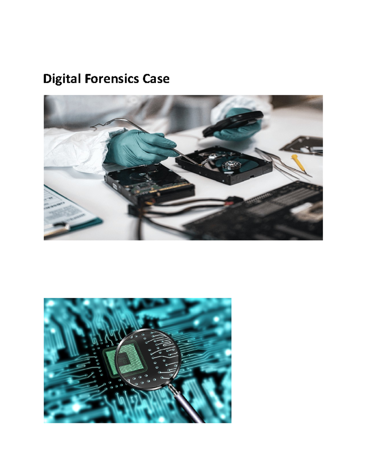 case study in digital forensics