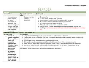 Giardiasis tünetei és kezelése