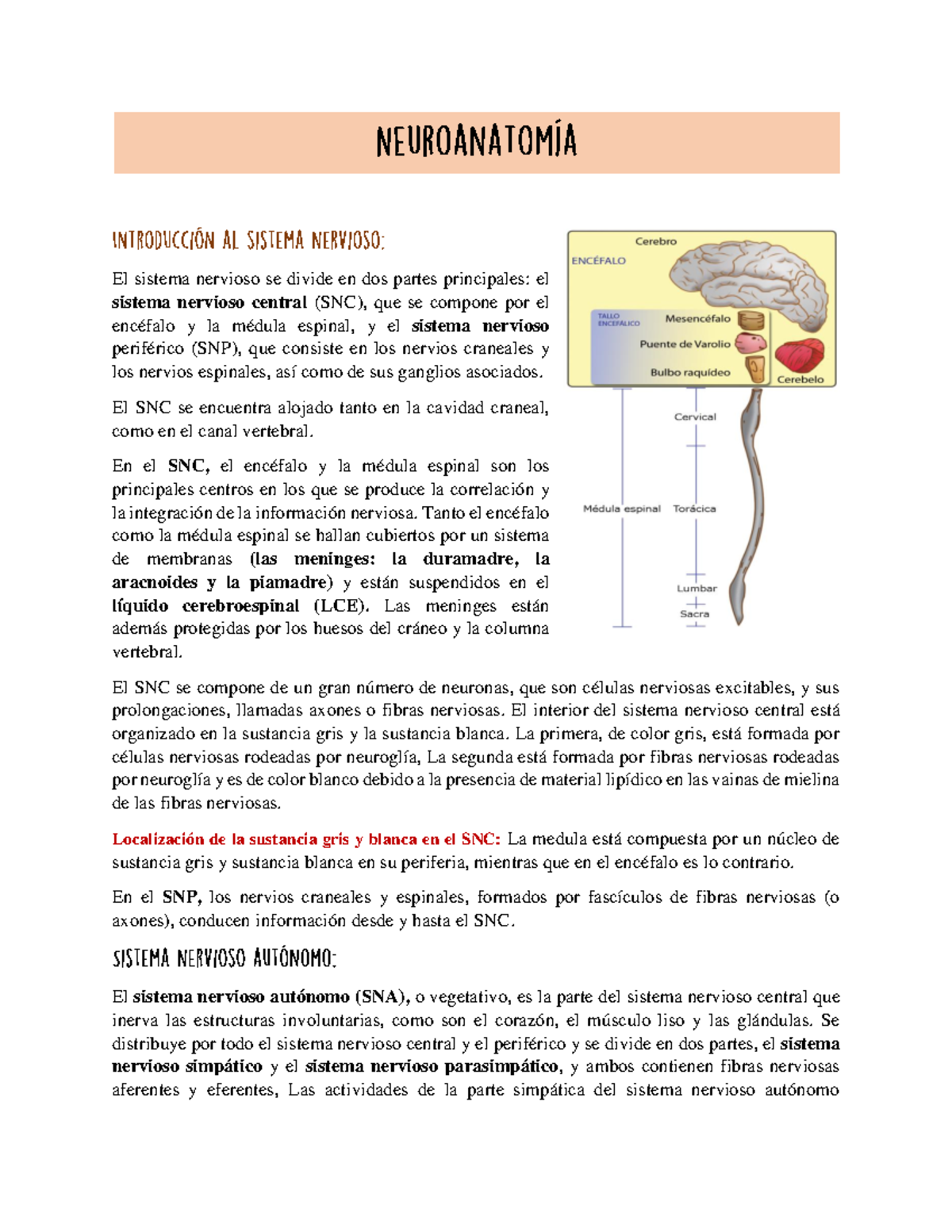 Resumen primer parcial lab neuro - El sistema nervioso se divide en dos ...