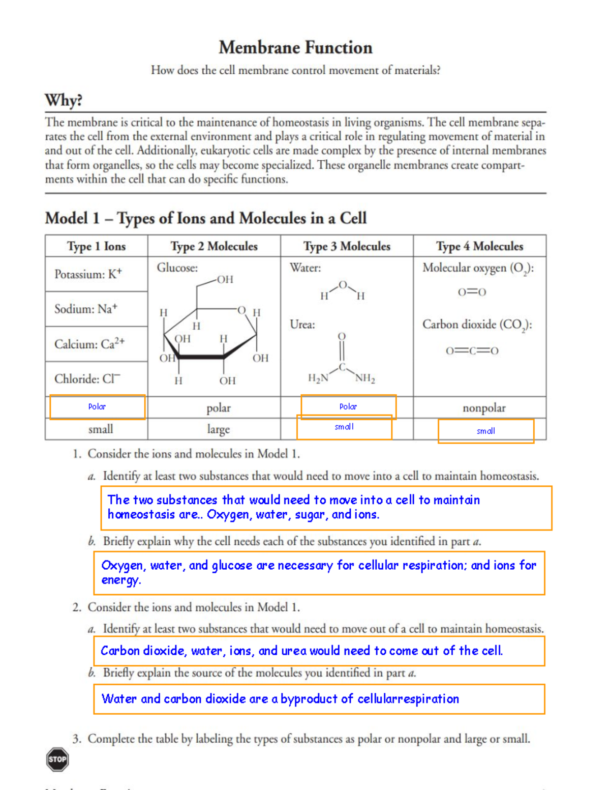 Pogil Membrane Function The Two Substances That Would Need To Move Into A Cell To Maintain 3639