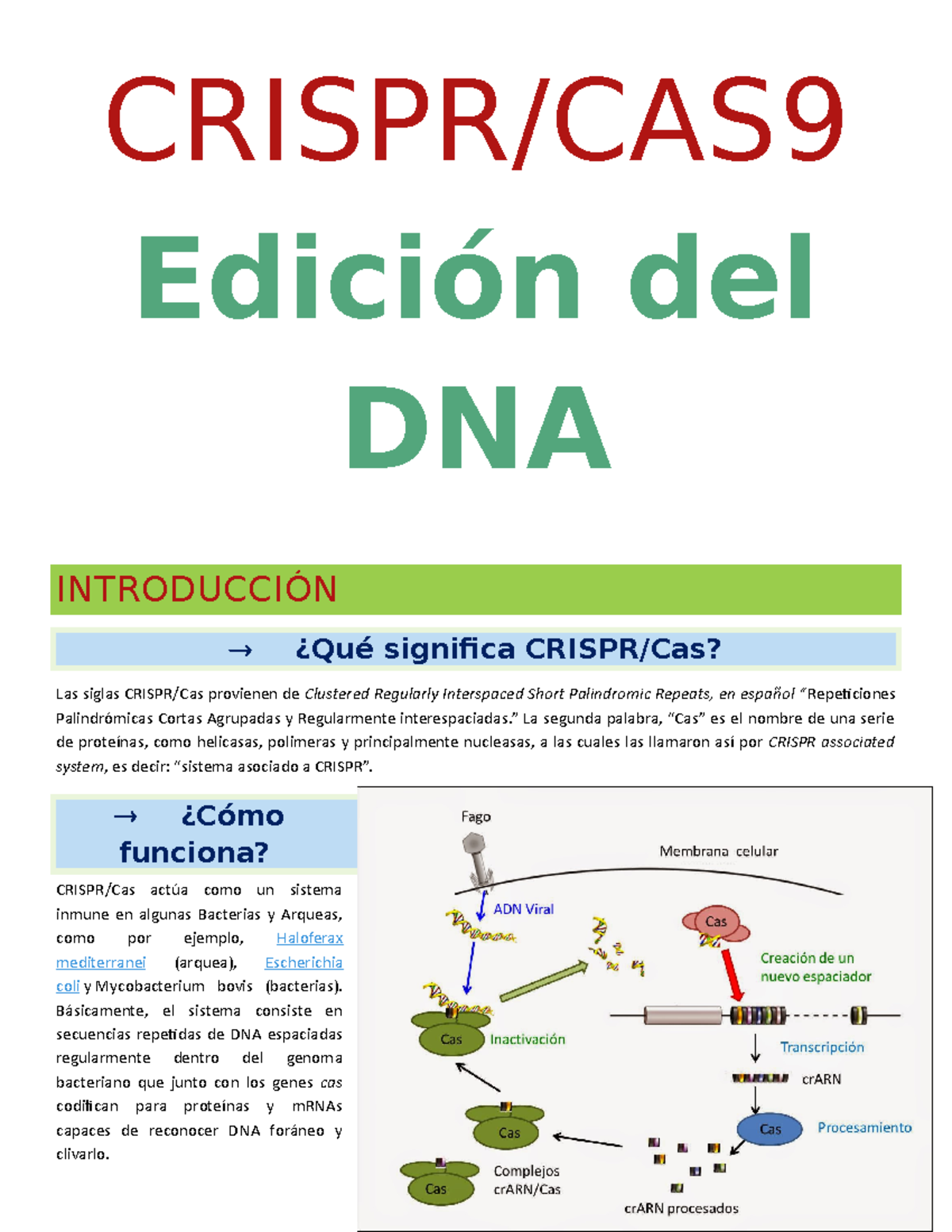 389222123- Crispr-Cas9 - CRISPR/CAS Edición Del DNA INTRODUCCIÓN ¿Qué ...