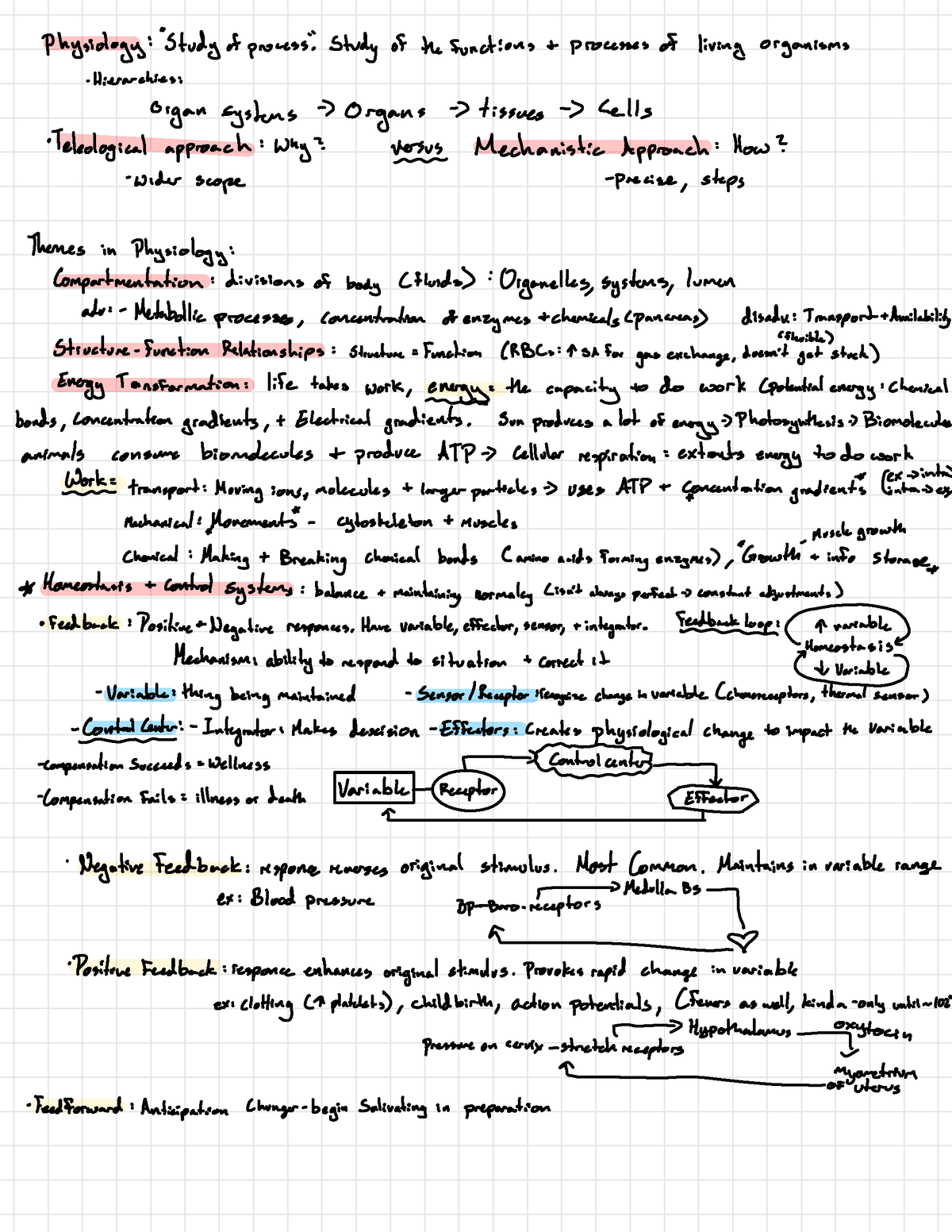 Physiology Notes Introduction lecture - Physiology: