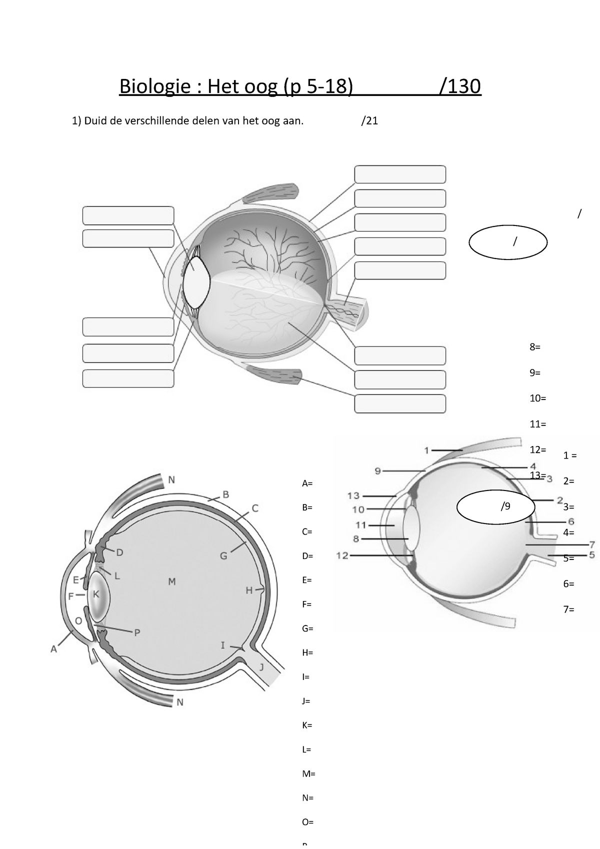 Biologie: Eigen Oefentoets: Het Oog - Biologie : Het Oog (p 5-18 ...