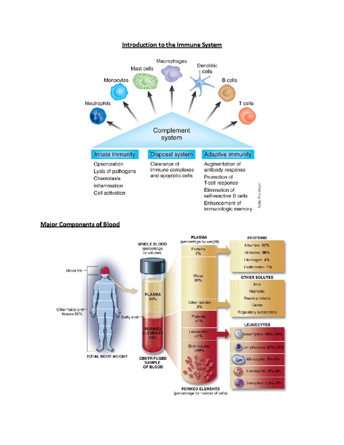 Introduction to the Immune System - o Greater plasma volume then formed ...