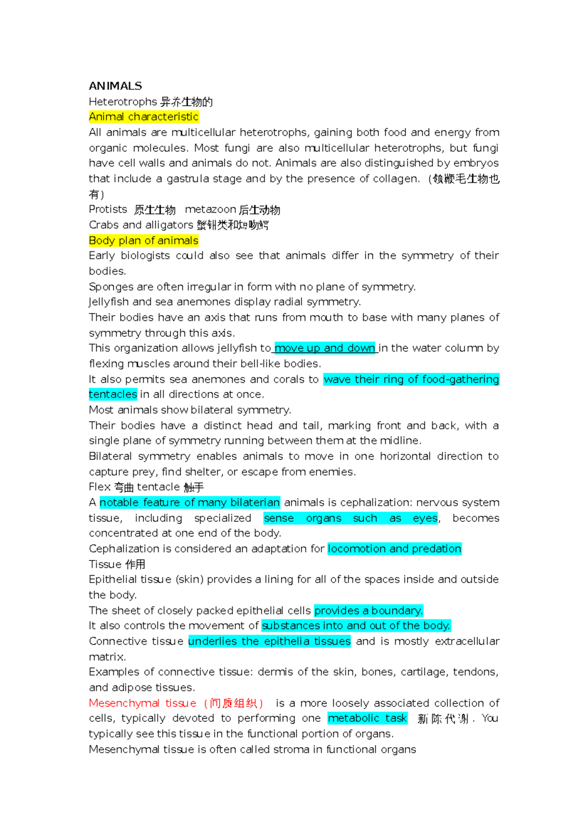 Biology 3336,42 Review ANIMALS Heterotrophs 异养生物的 Animal