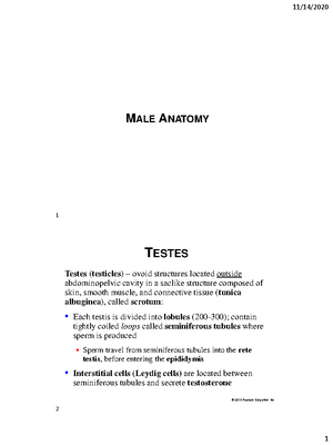 PSY 201 Study Guide #1 - PSY201, - Studocu