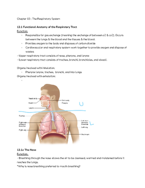 Solved Can You Please Give Me A Mnemonic To Help Me Memorize The Anatomy And Physiology