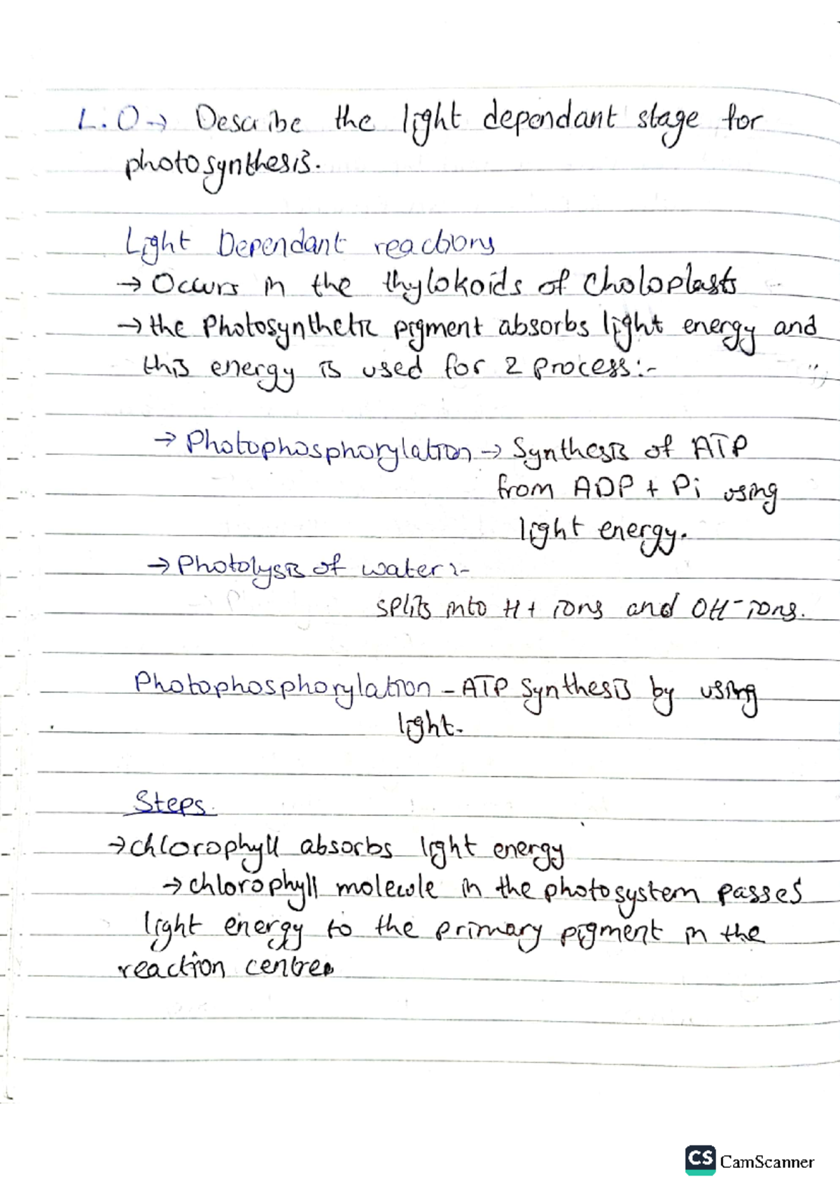 Part 2 - these are simplified lecture notes on, photosynthesis part 2 ...