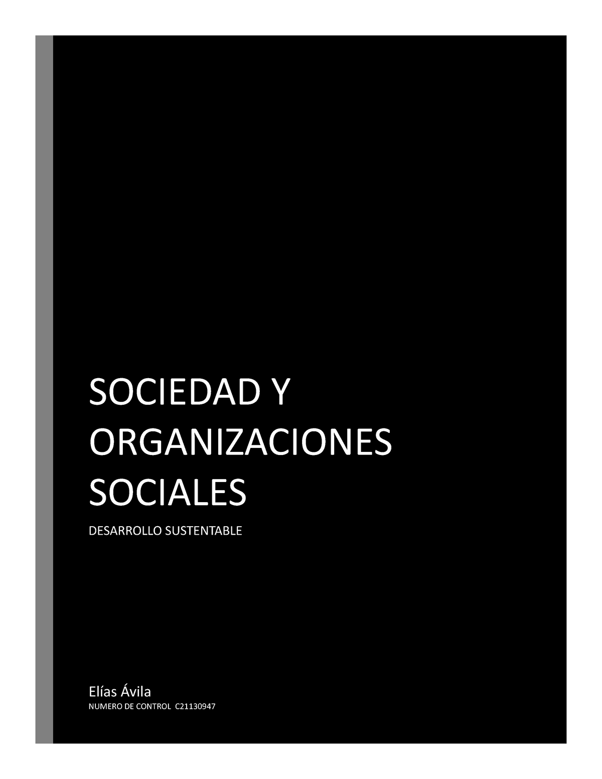 Sociedad - WQEWQEASDAS - SOCIEDAD Y ORGANIZACIONES SOCIALES DESARROLLO SUSTENTABLE Elías Ávila ...