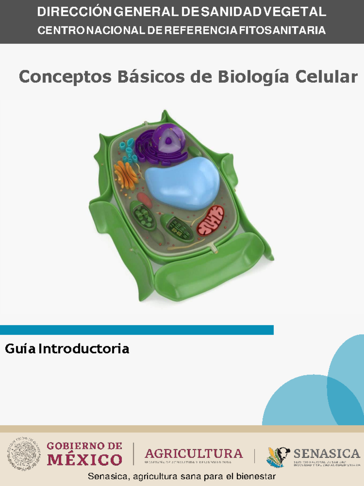 Conceptos Básicos De Biología Celular Y Molecular - DIRECCIÓN GENERAL ...