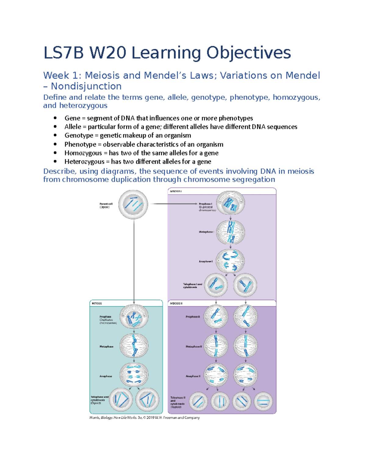 LS7B Objectives - LS7B W20 Learning Objectives Week 1: Meiosis And ...