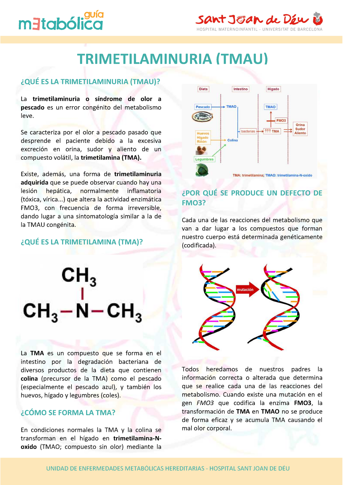 Trimetilaminuria O Sindrome De Olor De Pescado - UNIDAD DE ENFERMEDADES ...