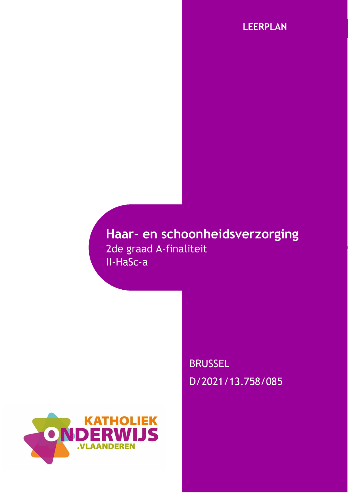 Leerplan II-Ha Sc-a - Haar- En Schoonheidsverzorging 2de Graad A ...