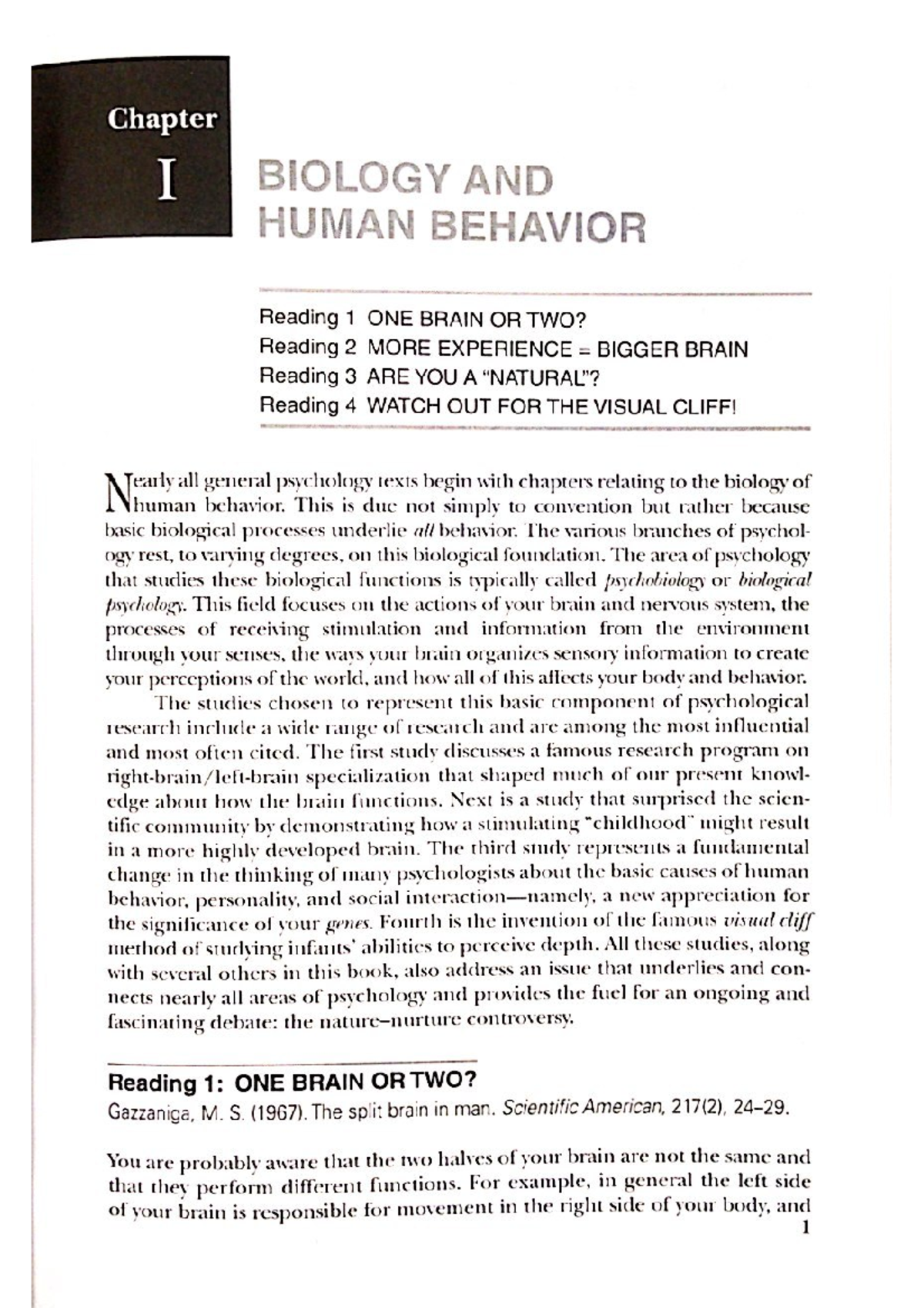 case study 6 dual brain psychology