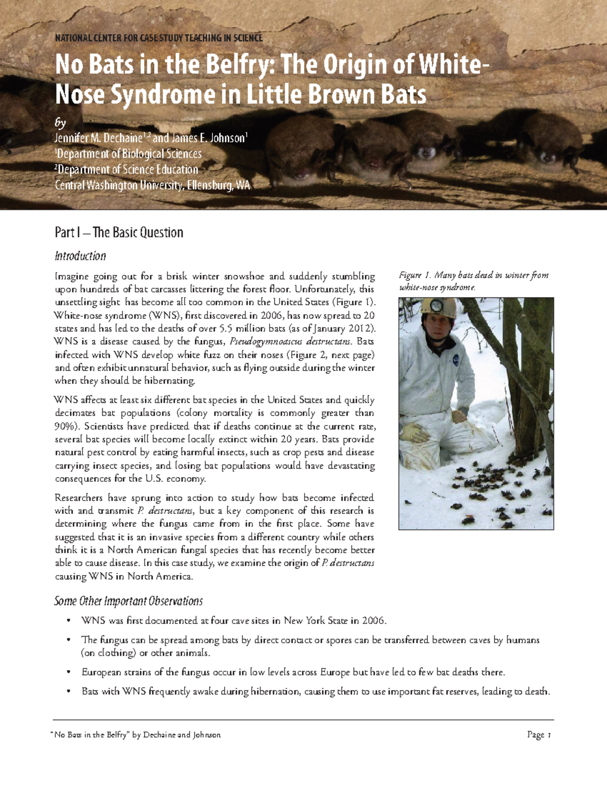 Bat disease Case study 1 “No Bats in the Belfry” by Dechaine and