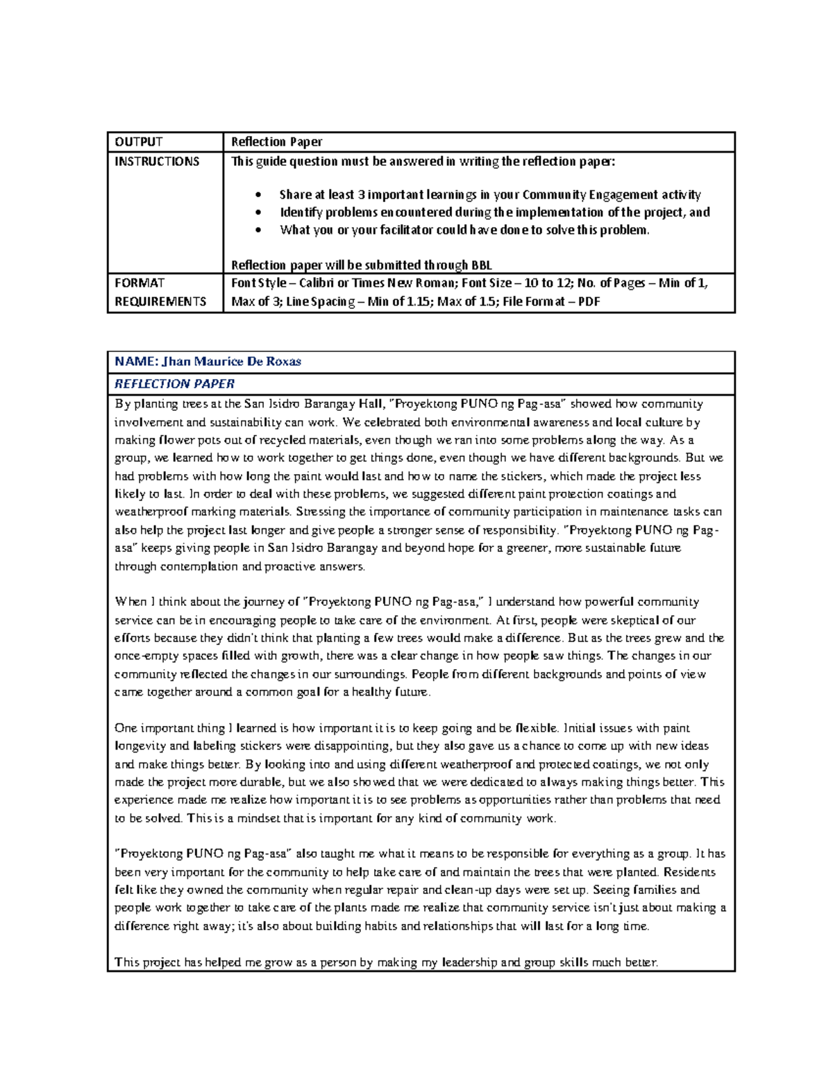 NSTP022-P Reflection Paper - OUTPUT Reflection Paper INSTRUCTIONS This ...