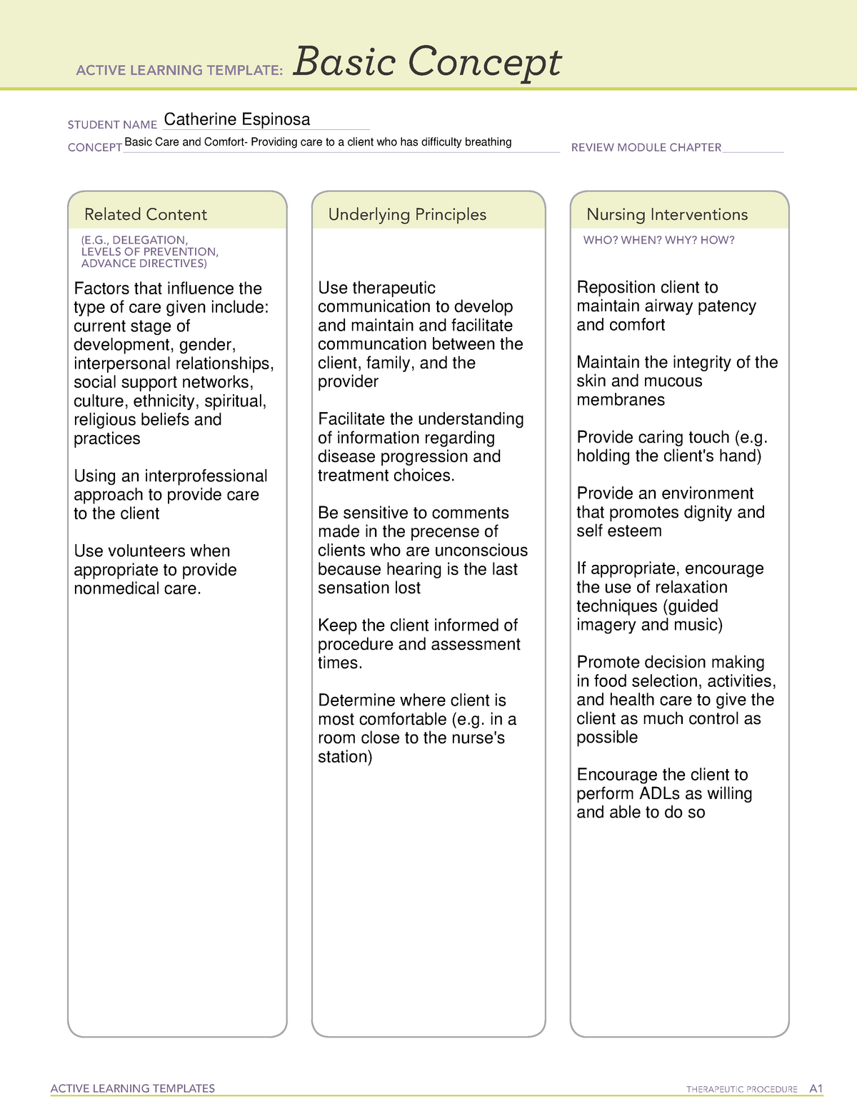 Basic Concept Basic Care And Comfort ACTIVE LEARNING TEMPLATES 