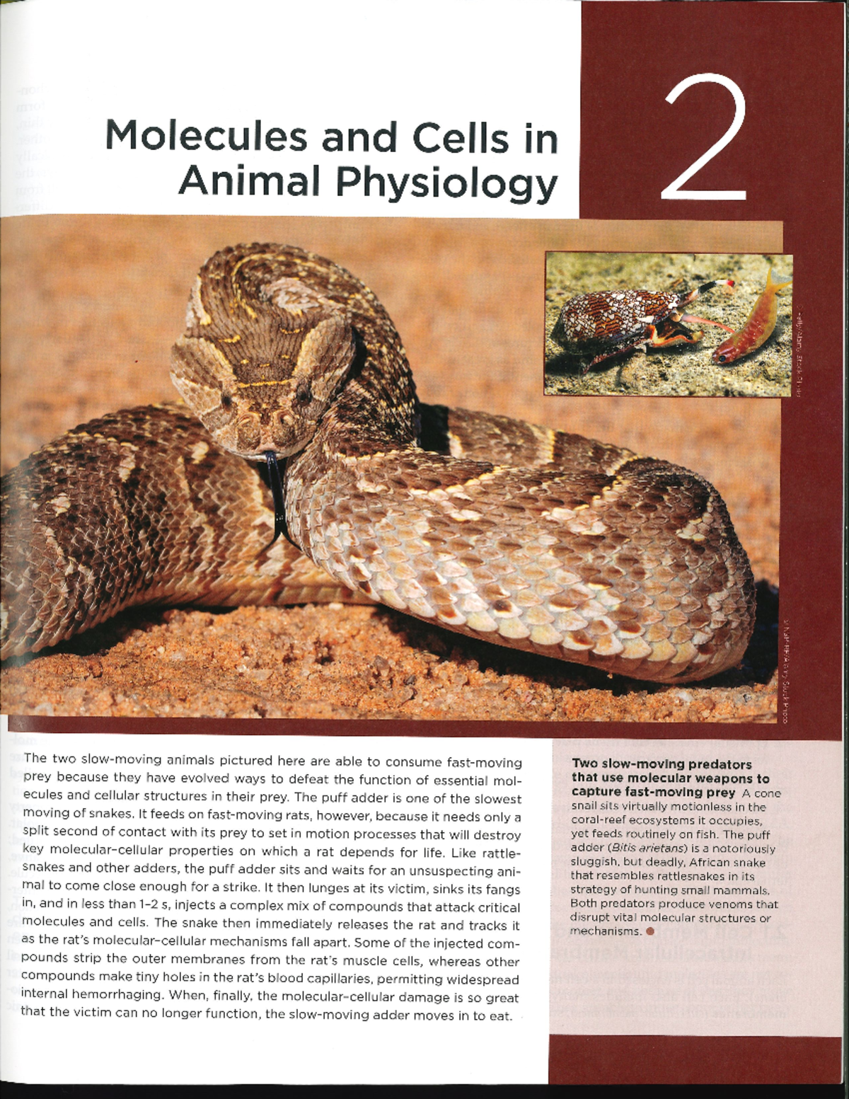 Animal Physiology Ch2 - chapter 2 textbook - PCB3712 - Studocu