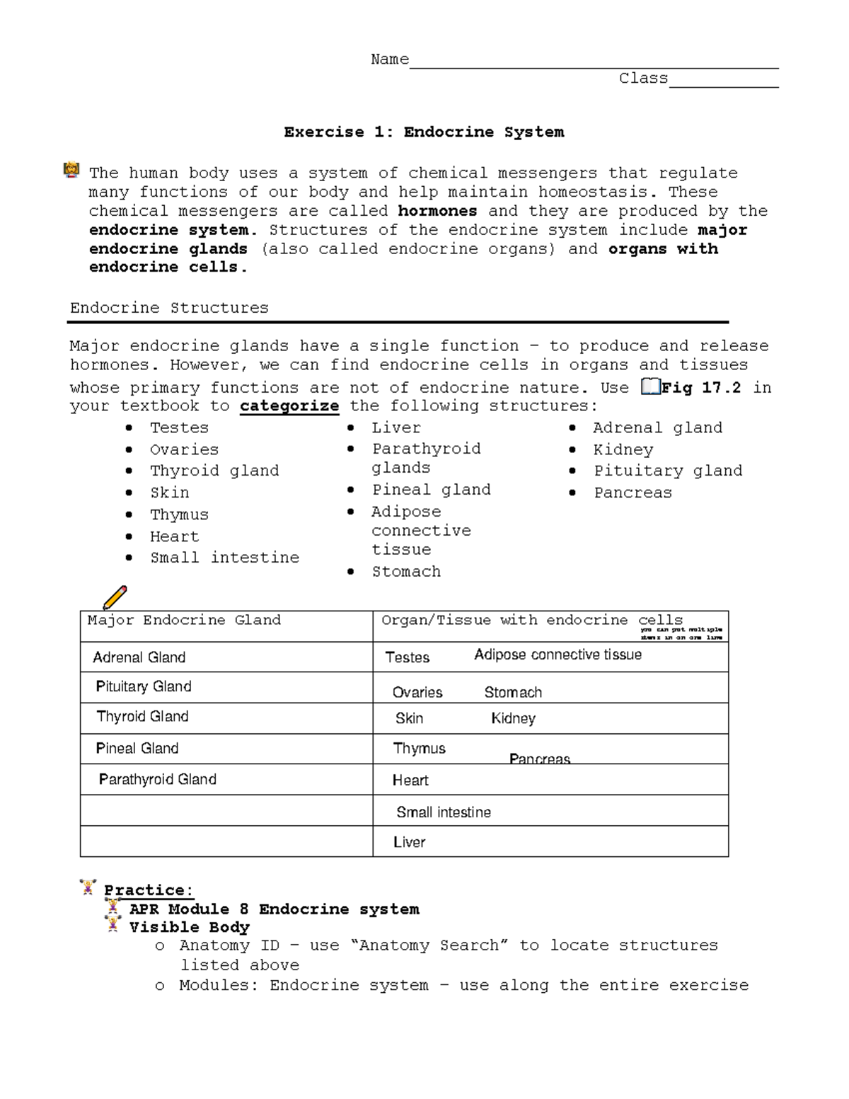 Exercise 1 endocrine system - Name ...